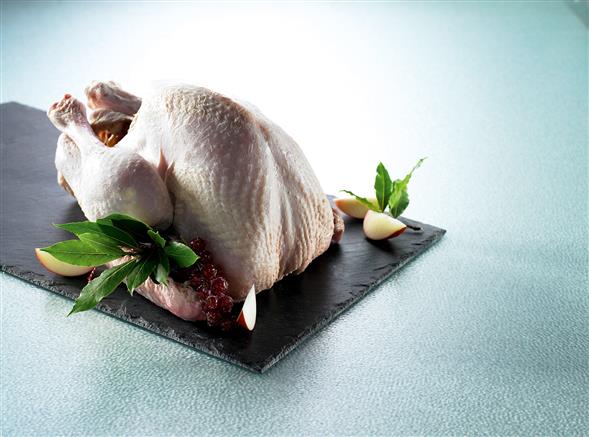 Kalkun, frisk 5-6 kg hel eller farseret Jul