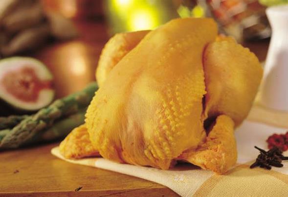 Majs Poussin